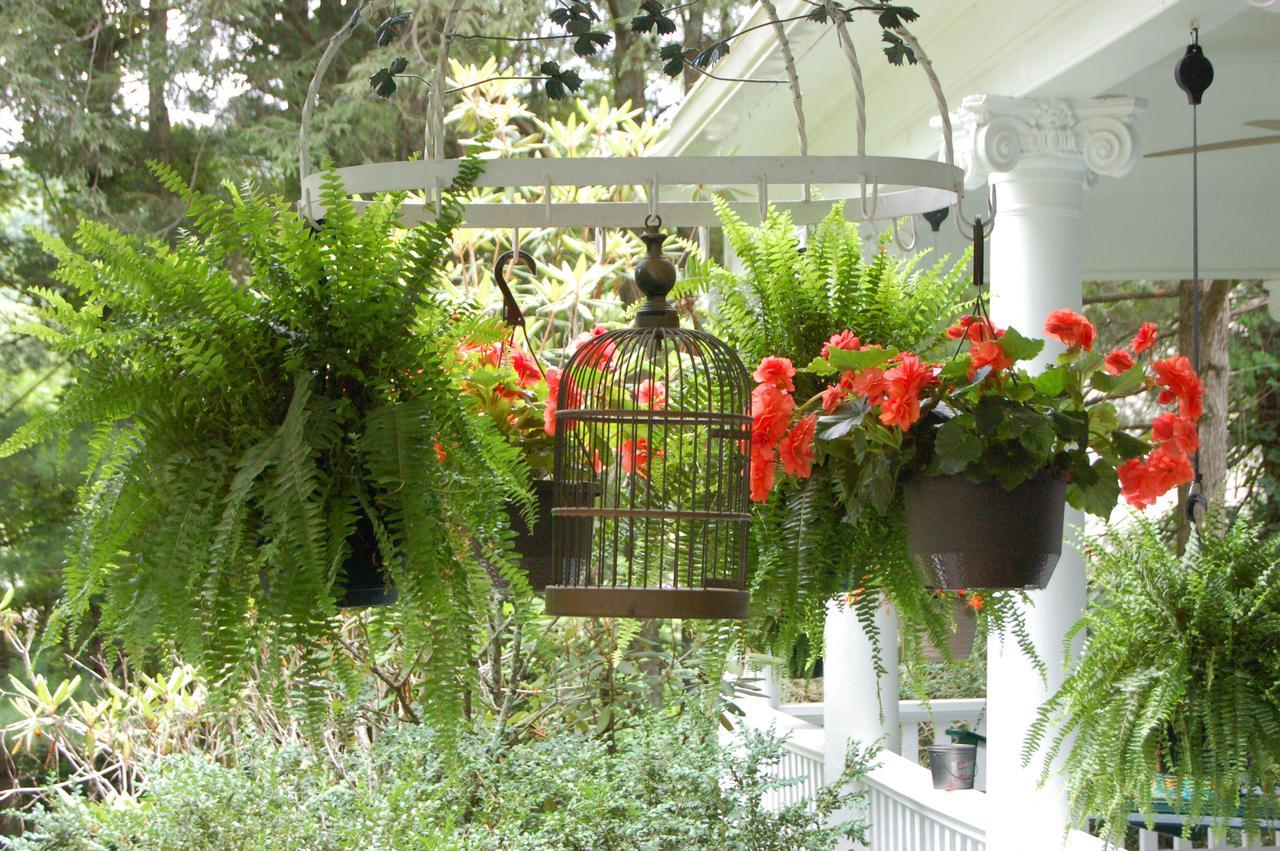 Mountain Laurel Inn Damascus Εξωτερικό φωτογραφία